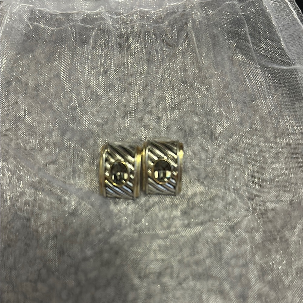Elegant Gold and Silver Hoop Earrings